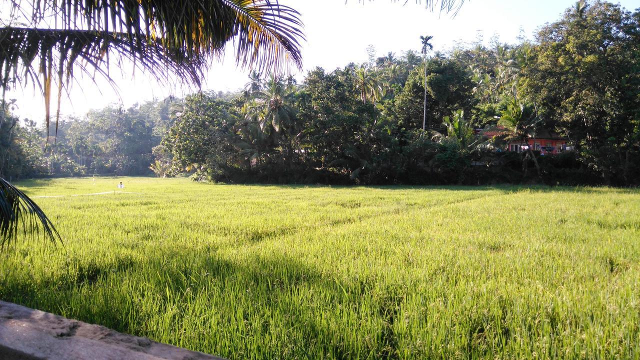 Villa Paddy Fields View มิริสซา ภายนอก รูปภาพ