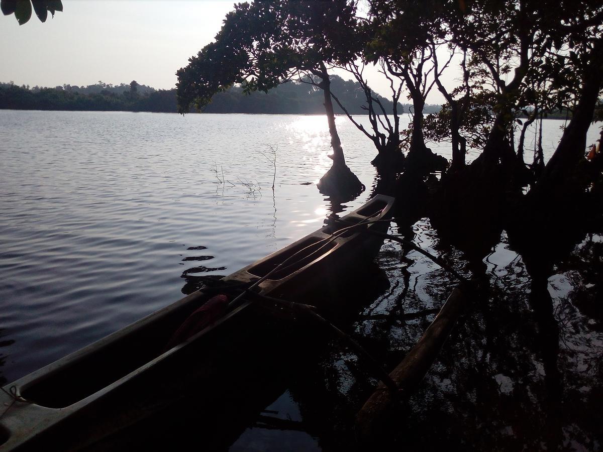 Villa Paddy Fields View มิริสซา ภายนอก รูปภาพ